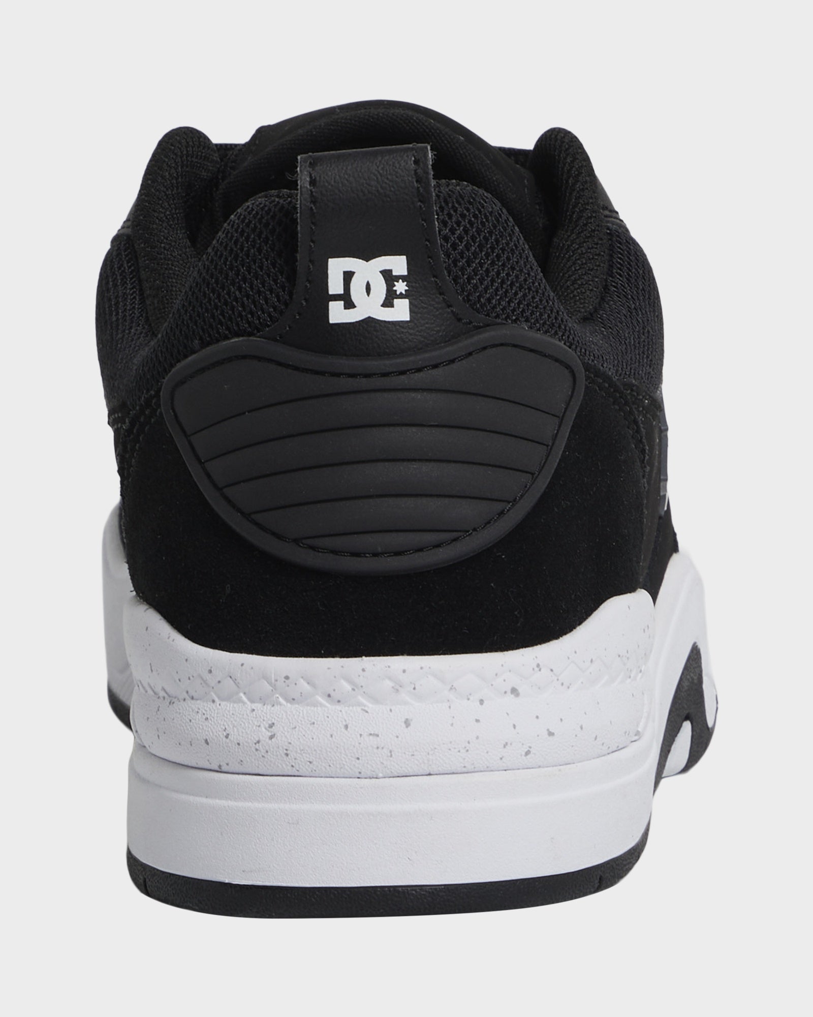 Mens DC Ascend Sneakers