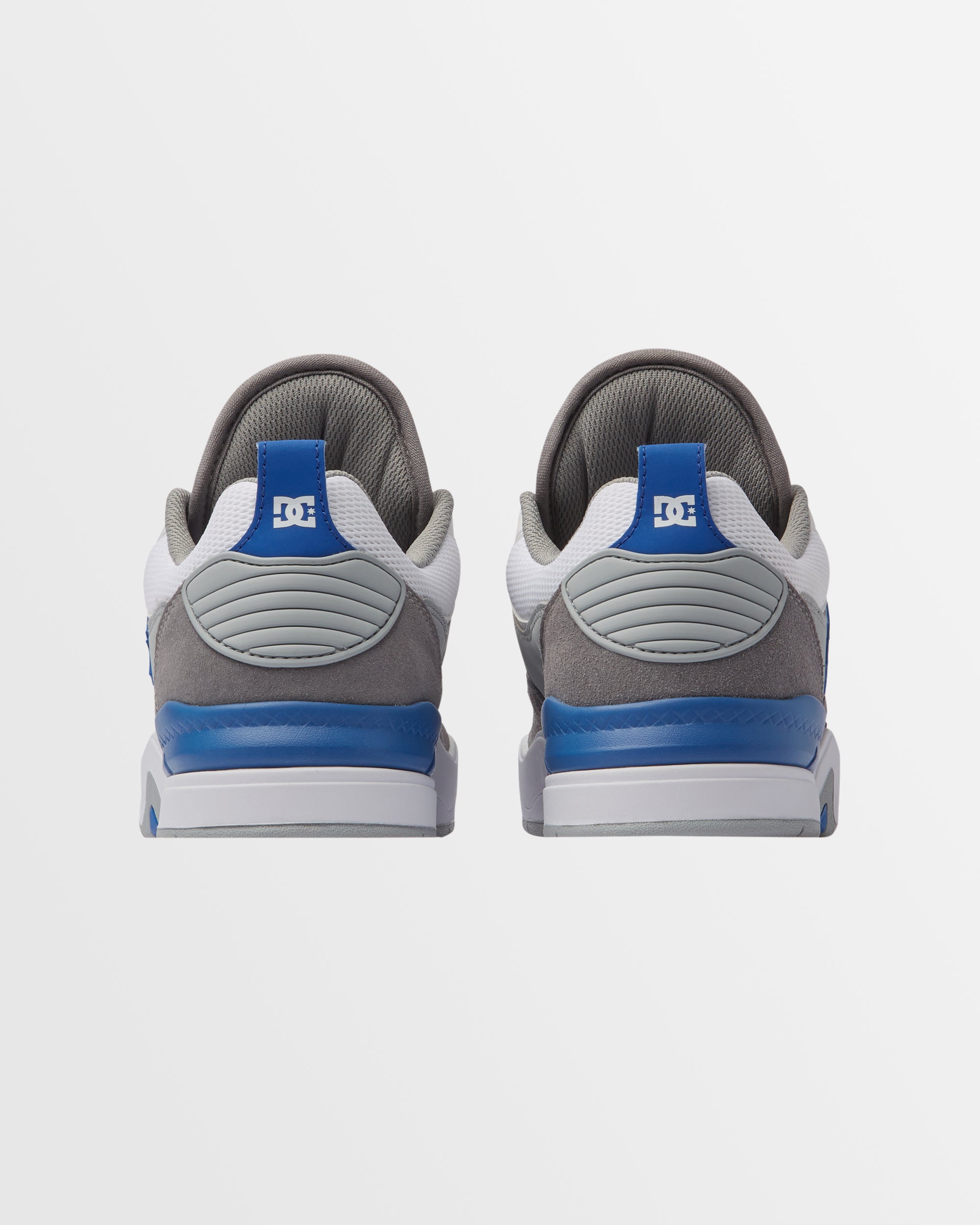 Mens DC Ascend Shoes