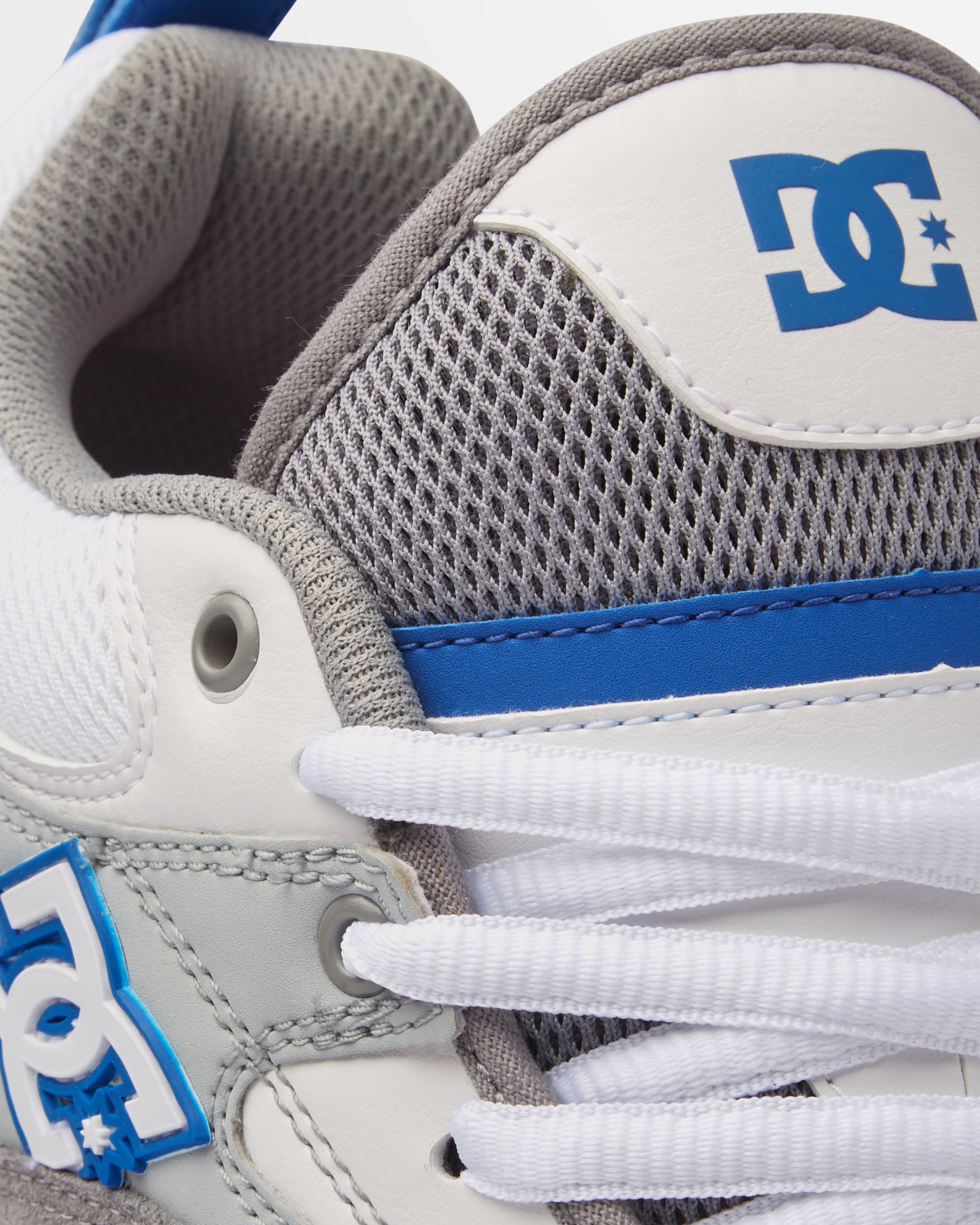 Mens DC Ascend Shoes