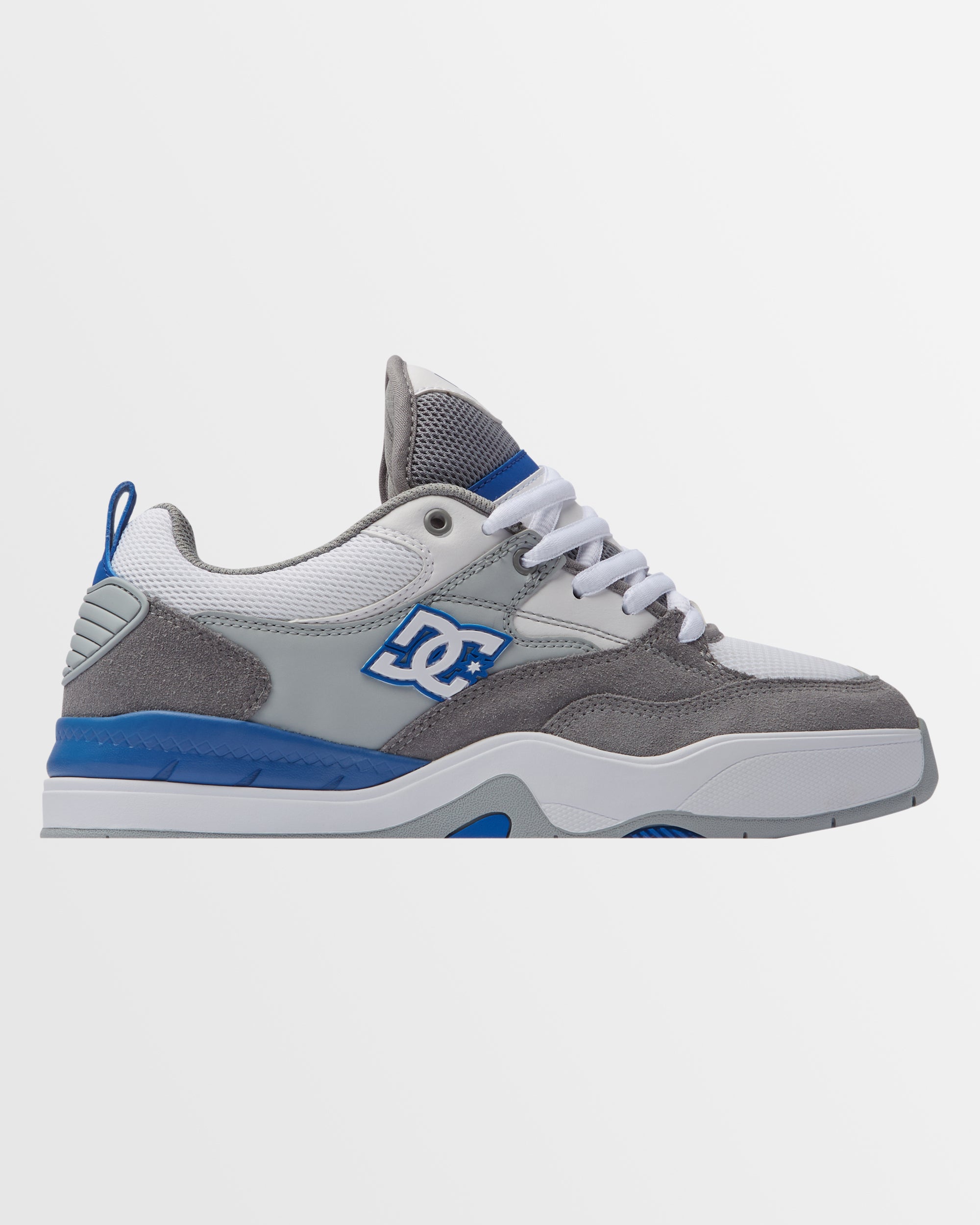 Mens DC Ascend Shoes