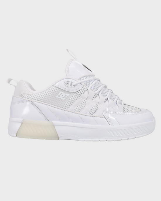 Mens Lucien Skate Shoes