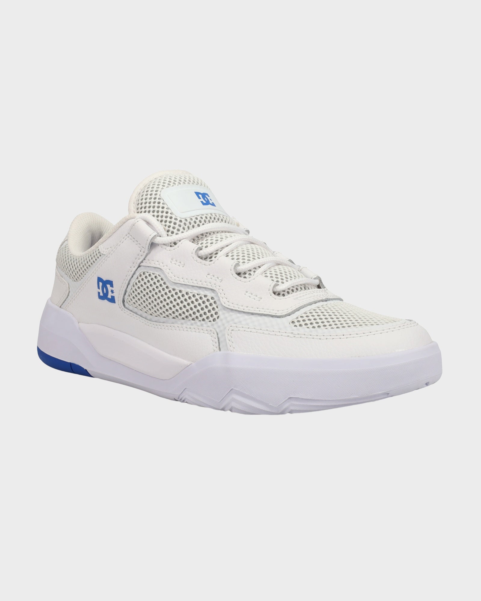 Mens DC Metric Skate Shoes