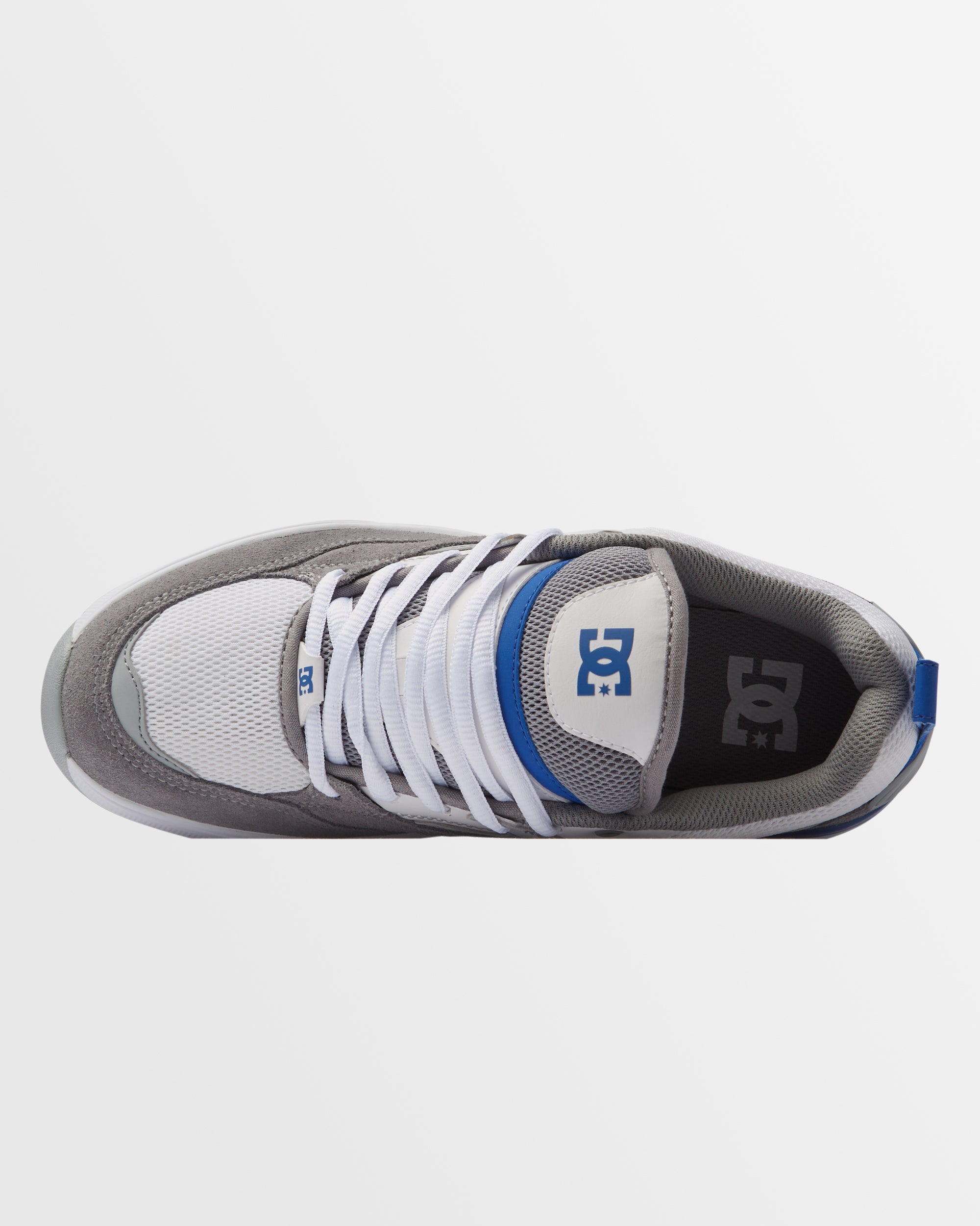 Mens DC Ascend Shoes