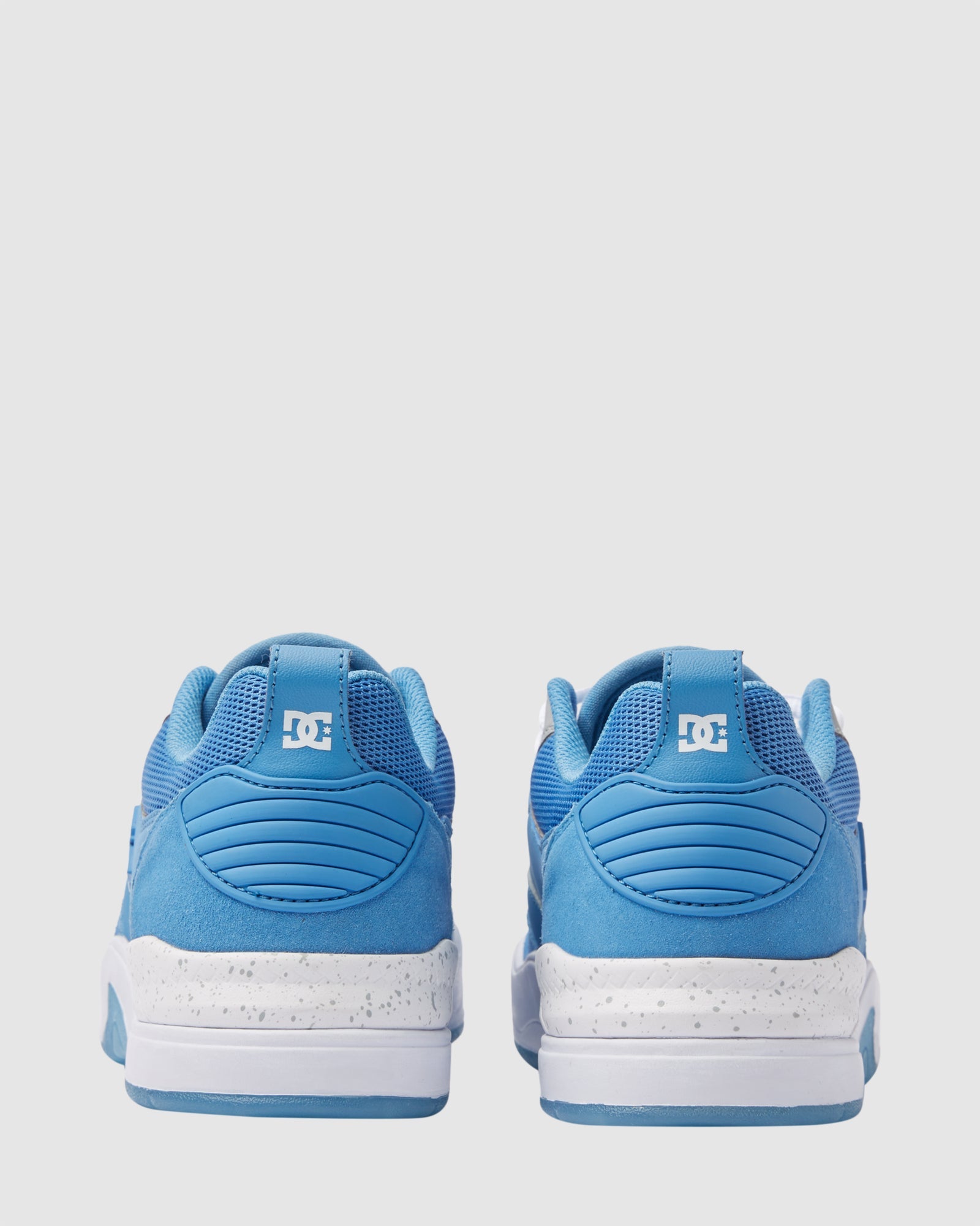 Mens Dc Ascend S Shoes